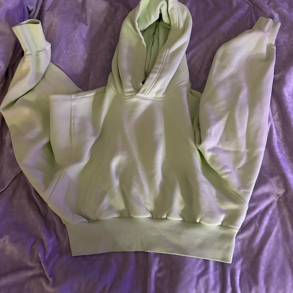 Aritzia cropped hoodie